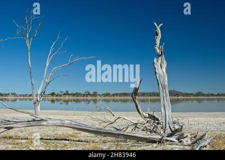 Over use of ground water for agriculture resulting in salt contamination in Western Australia. Stock Photo