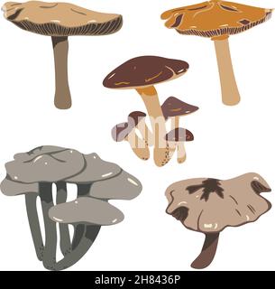 Vector collection of mushrooms. Isolated on white background. Stock Vector