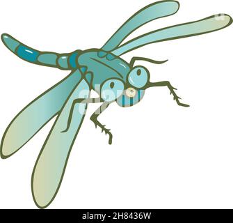 Vector illustration of dragonfly in cartoon style. Isolated on white background. Stock Vector