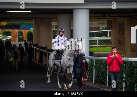Ascot, Berkshire, UK. 19th November, 2021. Jockey William Kennedy on horse Ailes D'Amour (Trainer Ian Williams, Alvechurch) heads out onto the racetrack at Ascot to race in the Ascot Shop National Hunt Maiden Hurdle Race at Ascot. Credit: Maureen McLean/Alamy Stock Photo