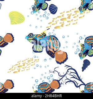Mandarin fish seamless patterns. beautiful character among seashells, seaweed, starfish, sea animal wildlife character. Nature underwater, marine wild ocean zoo fish Stock Vector