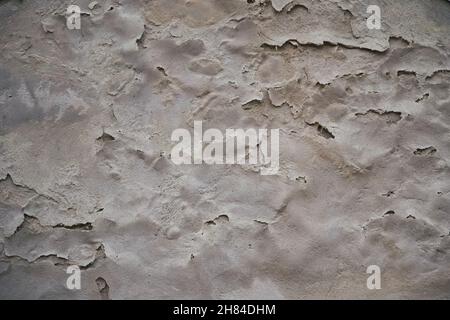 Old Plaster Wall Texture with peeling plaster or paint on an ancient building on a cemetery in Berlin. Damaged by weather. Can be used as texture or b Stock Photo