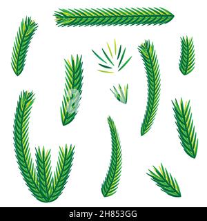 A set of branches or leaves. Christmas tree, pine, winter Stock Vector