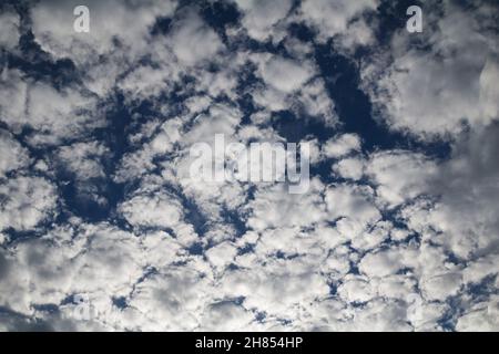 White cloud texture. Air material backdrop. Sky effect pattern. Wallpaper and background. Stock Photo