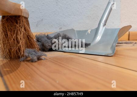 Dust on a house floor with dustpan background. Home cleaning concept. Stock Photo