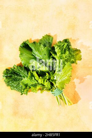 Bunch of turnip greens -brassica rapa - root vegetable with bitter taste Stock Photo