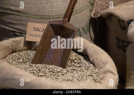 Green Coffee Beans in a burlap bag, with a wooden spoon. Ready to roast Stock Photo