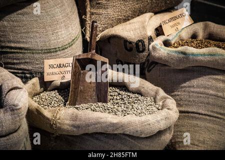 Green Coffee Beans in a burlap bag, with a wooden spoon. Ready to roast Stock Photo