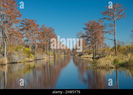 Suwanee Canal in late fall, Okefenokee National Wildlife Refuge, Folkston, Georgia, USA Stock Photo