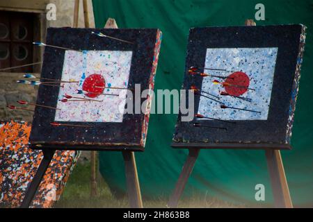 Many medieval arrows hit the target Stock Photo