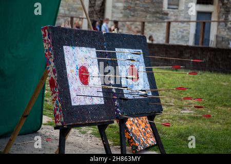 Many medieval arrows hit the target Stock Photo