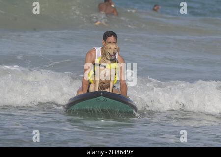 November 27, 2021, Natal, Rio Grande do Norte, Brazil: Dogs with their owners and instructors enter the sea during the Surf Dog Festival, which takes place at Miami beach, in Natal. Surf Dog is a safe and healthy competition for pets. The board that dogs use is prepared with a special rubber grip to prevent them from slipping. (Credit Image: © Jose Aldenir/TheNEWS2 via ZUMA Press Wire) Stock Photo