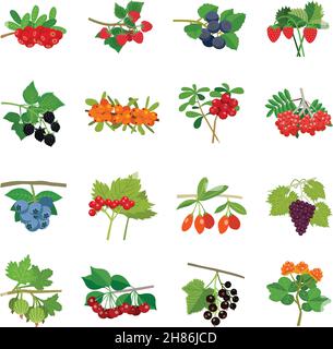 Colorful berries icons set of different kinds in flat style isolated vector illustration Stock Vector