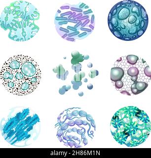 Set of various viruses. Vector illustration isolated on white ...
