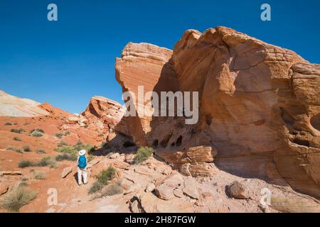 Valley of Fire State Park, Nevada, USA. Hiker on the Fire Wave Trail looking up in awe at overhanging sandstone outcrop. Stock Photo