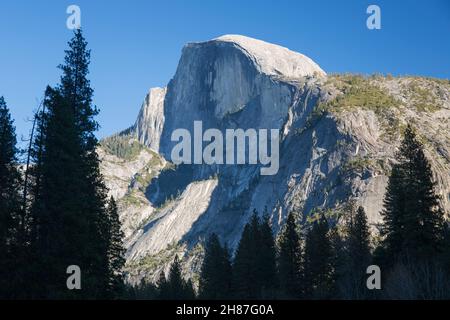 Yosemite National Park, California, USA. View from Sentinel Bridge across treetops to the majestic northwest face of Half Dome. Stock Photo