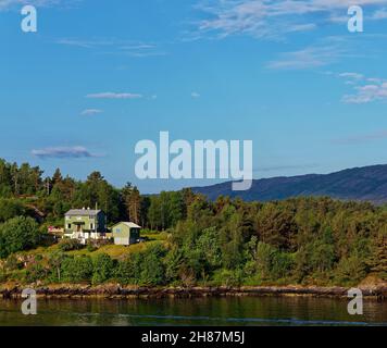 A Traditional Green Painted Wooden House set amongst the Pines of a small Island in Bergen fjord on a sunny Summers morning in July. Stock Photo