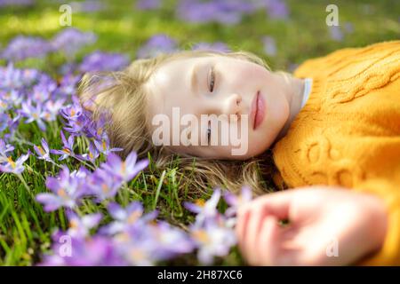Cute young girl admiring beautiful purple crocus flowers on sunny spring day. Child and first flowers of spring, nature and fun. Spring holidays. Stock Photo