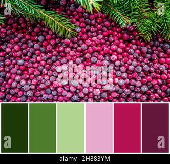 Color matching palette from frozen cranberries background