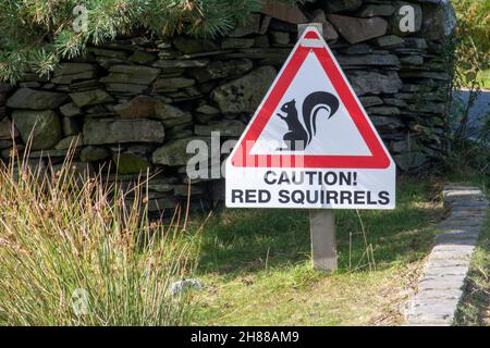 Caution sign for Red Squirrels Stock Photo