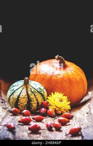 Thanksgiving day greeting card concept. Pumpkin, gourd, rosehip and dried flower on dark background Stock Photo