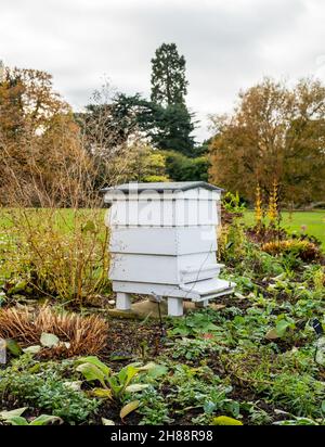 Wooden beehive among the plants in the Cambridge Botanical Gardens captured on an autumn day Stock Photo