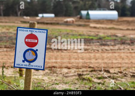 A rural sign on a pig farm informing the public that no entry is allowed due to disease precautions on high health livestock due to swine flu Stock Photo