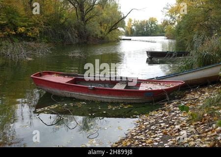 Colourful boats tied up at the shore of Blaue Adria recreational area and natural habitat on an autumn day, Altrip, Rhineland Palatinate, Germany Stock Photo