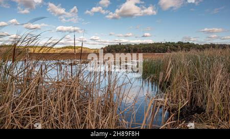 Great Meadows National Wildlife Refuge in Concord, Massachusetts Stock Photo