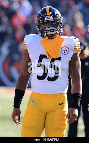 CHARLOTTE, NC - DECEMBER 18: Pittsburgh Steelers inside linebacker Devin  Bush (55) during an NFL football game between the Pittsburg Steelers and  the Carolina Panthers on December 18, 2022 at Bank of