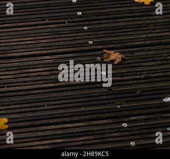 Brown wood texture. Abstract background, empty template. rustic weathered barn wood background with knots and nail holes. Close up of wall made of woo Stock Photo