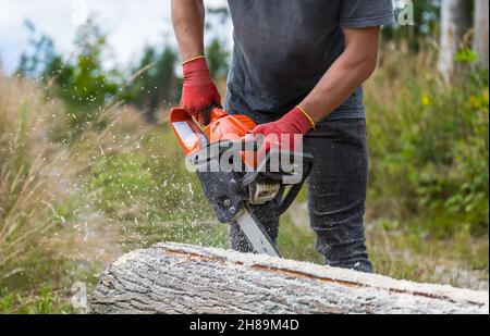 Forest worker holding power chainsaw at sawing wood log on blur nature background. Woodcutter with portable gasoline chain saw tool and flying sawdust. Stock Photo