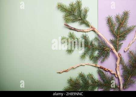 Christmas green framework background from pine tree branch and dry roots ,top wiew, space for text, close up. Stock Photo