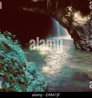 Purling Brook Falls, Springbrook National Park ,Gold Coast, Queensland, Australia.