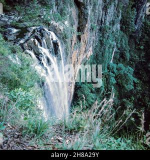 Purling Brook Falls, Springbrook National Park ,Gold Coast, Queensland, Australia.