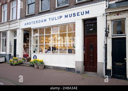 Amsterdam Tulip Museum, Amsterdam, Netherlands. Stock Photo