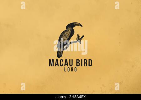 hand drawn, parrot or macaw bird logo Designs Inspiration Isolated on White Background Stock Vector