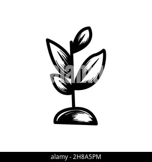 seed tree growing hand drawn icon vector illustration Stock Vector ...