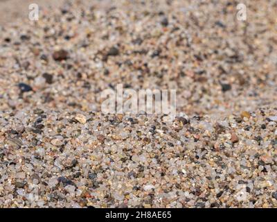 A closeup of coarse sand texture Stock Photo