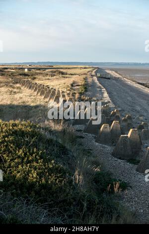 World War Two tank trap defences on the Isle of Grain, Kent, England Stock Photo