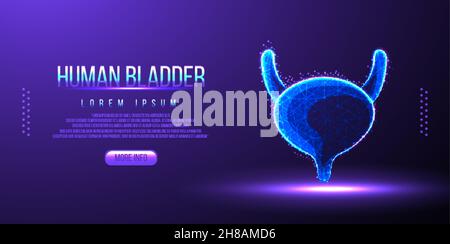 human bladder low poly wireframe Stock Vector