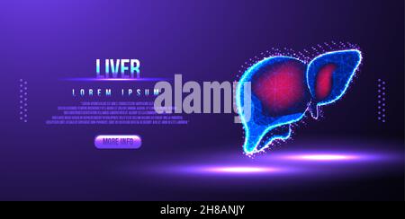 human liver low poly wireframe Stock Vector