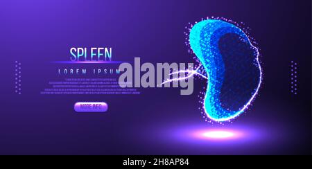 human spleen low poly wireframe Stock Vector