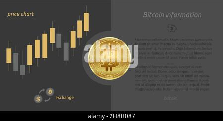 Bitcoin brochure, gold coin with chart vector Stock Vector