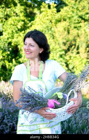 Smiling woman with lavender bunches in basket in field Stock Photo