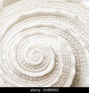 Detail of a white marble conch shell Stock Photo