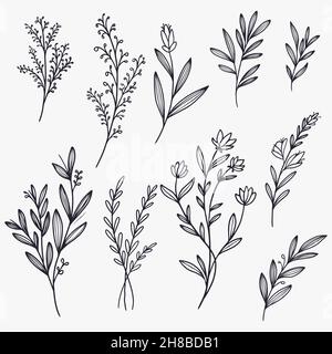 set of hand drawn floral decorative elements vector design. floral isolated design Stock Vector