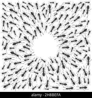 A colony of ants gathers in a circle. A group of insects around a place for a text. Vector Stock Vector