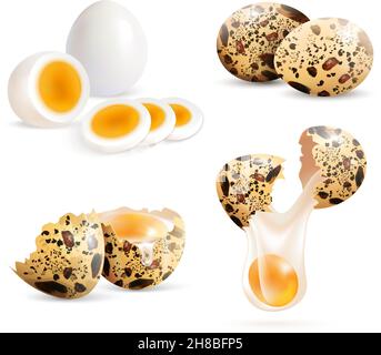 Quail eggs isolated realistic images set of whole eggs and cracked eggshell pieces with boiled egg slices vector illustration Stock Vector