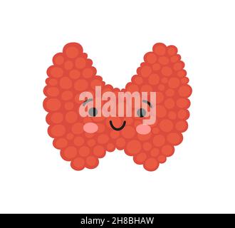 Happy kawaii thyroid gland character. Drawing of a smile thyroid gland. Vector illustration isolated in cartoon style on white background Stock Vector